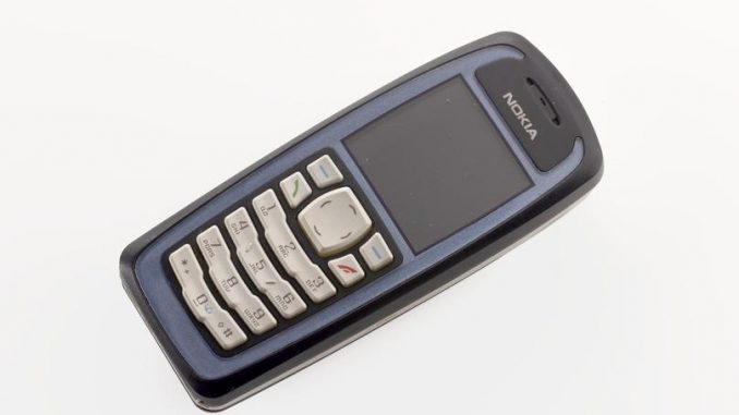 Nokia 3110